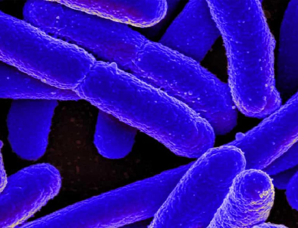 What Happens If You Don’t Shower After Swimming?